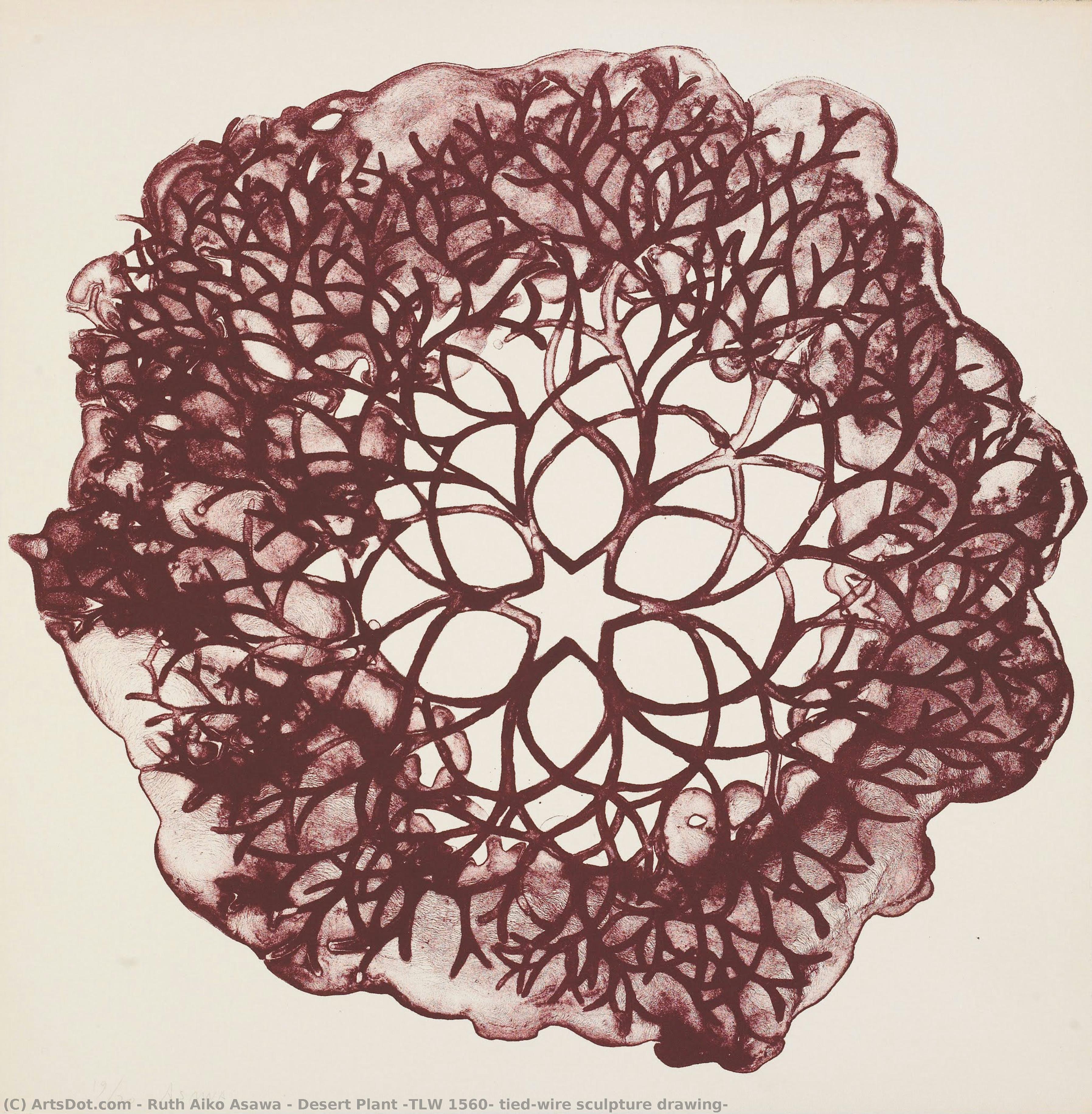 Planta Del Desierto (tlw 1560, Dibujo De Escultura De Alambre Atado) — Ruth Aiko Asawa