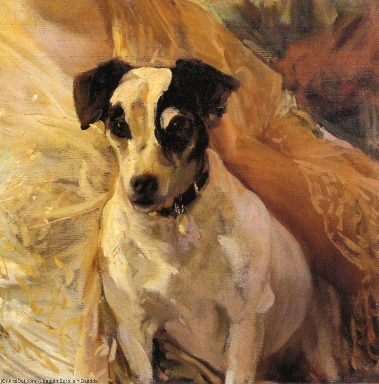 Retrato De Un Jack Russell Terrier — Joaquín Sorolla Y Bastida