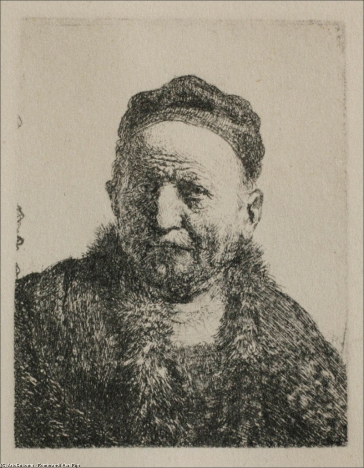 Head And Bust, Full Face — Rembrandt Van Rijn