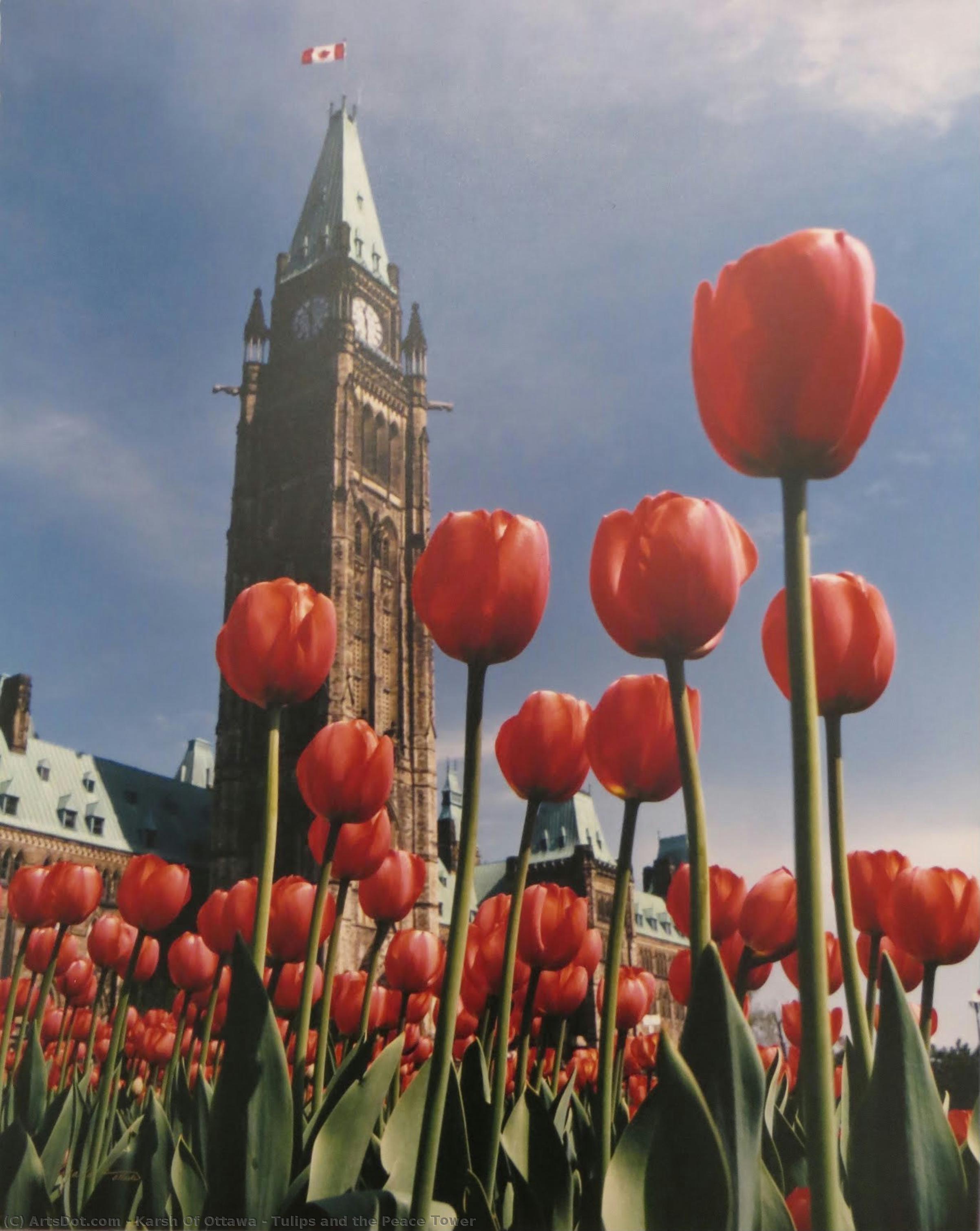 Tulips And The Peace Tower — Karsh Of Ottawa