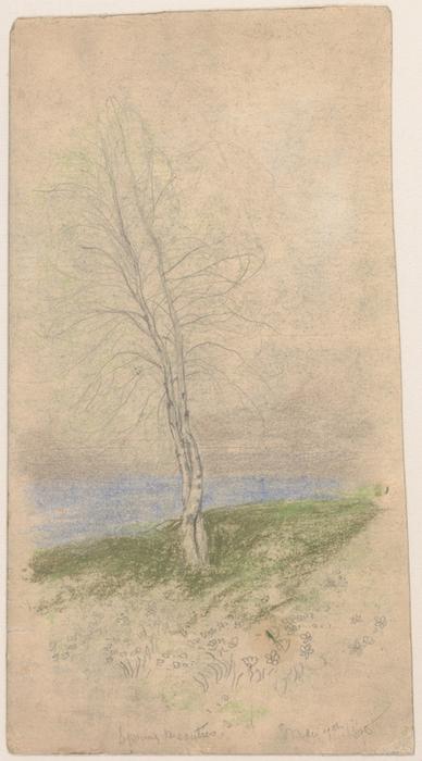 Spring Beauties — Arthur B. Davies