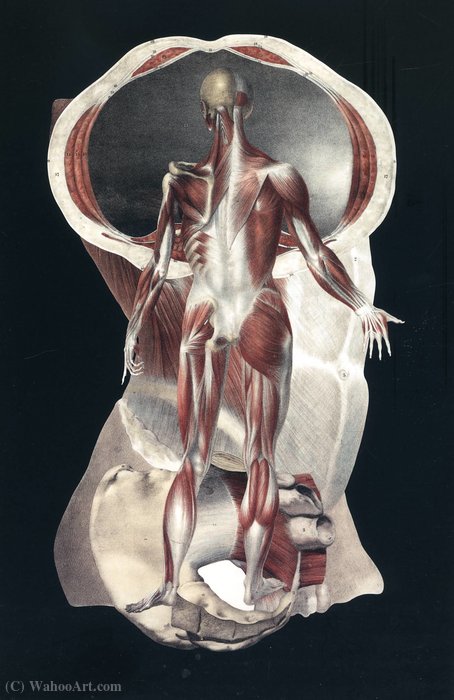 Untitled (807) — Frederick Sommer