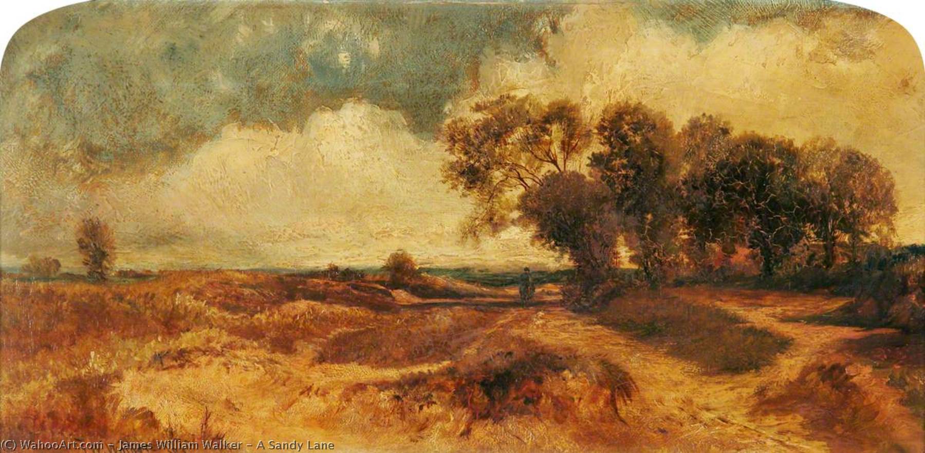 A Sandy Lane — James William Walker