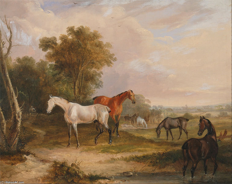 Horses Grazing- A Grey Stallion Grazing With Mares In A Meadow — Francis Calcraft Turner