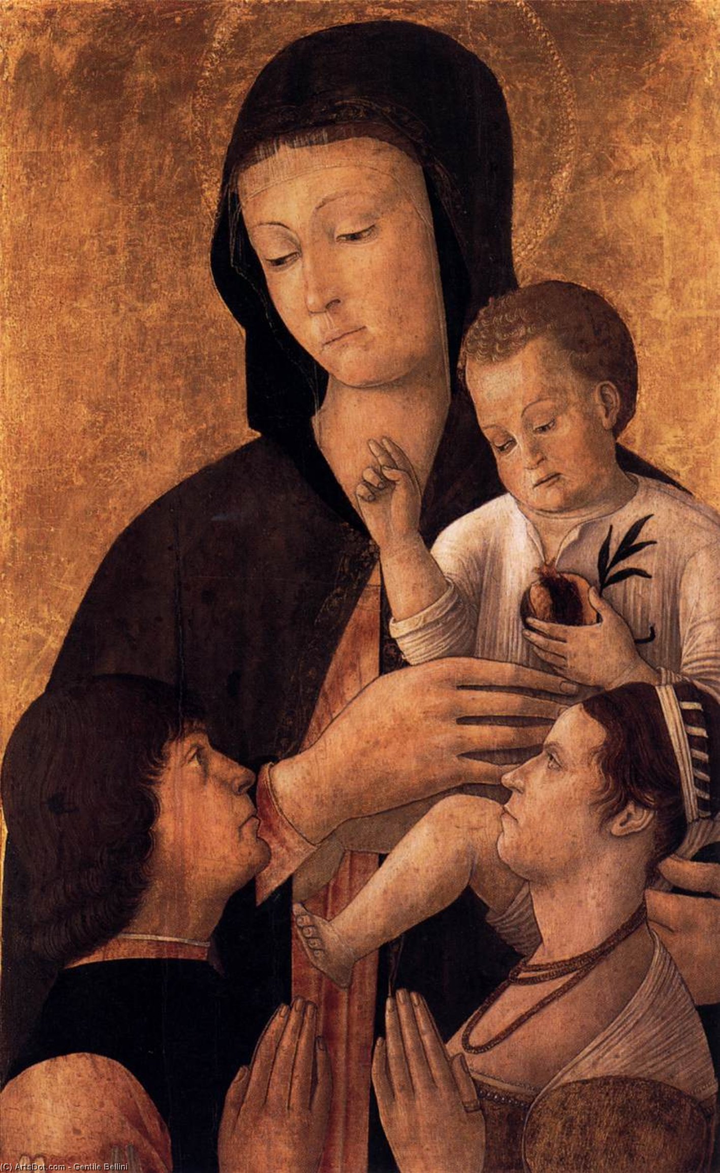 Madonna Mit Kind Und Stiftern — Gentile Bellini
