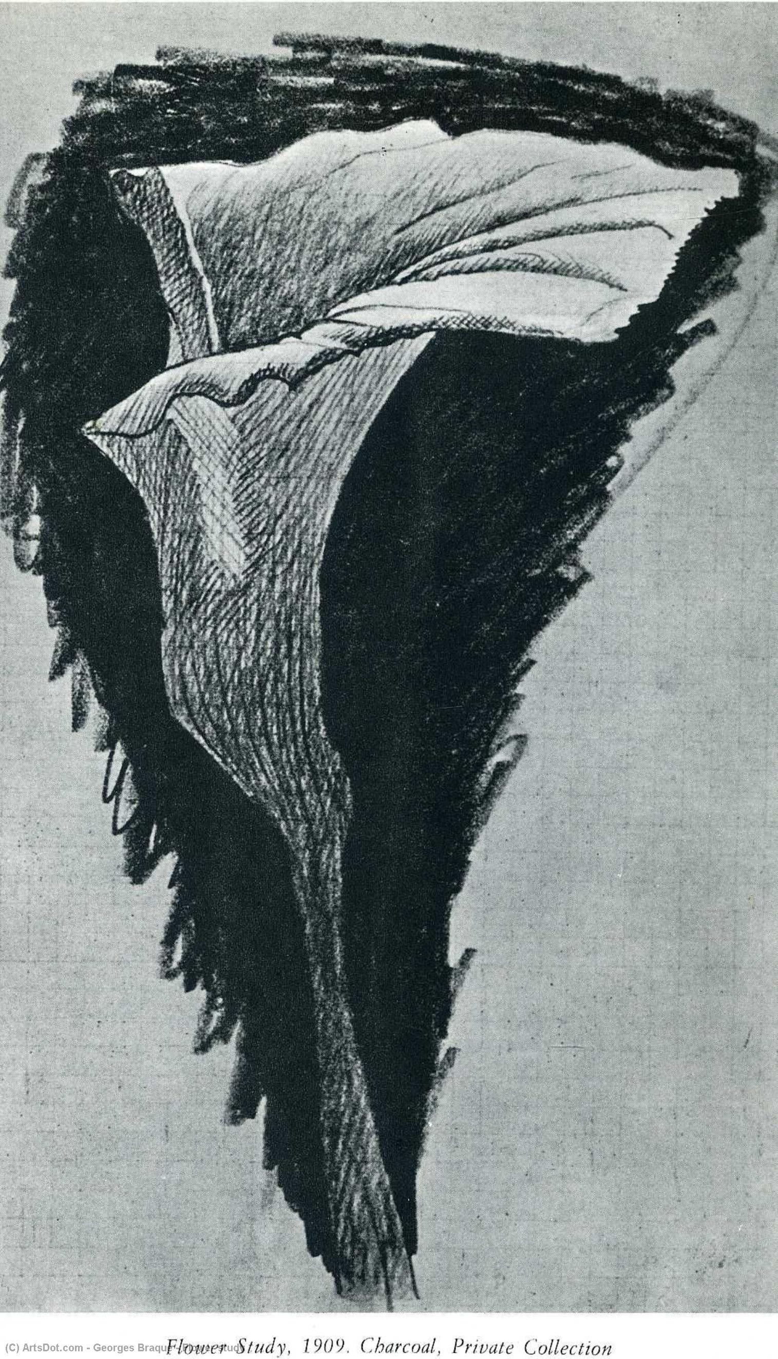 Flower Study — Georges Braque