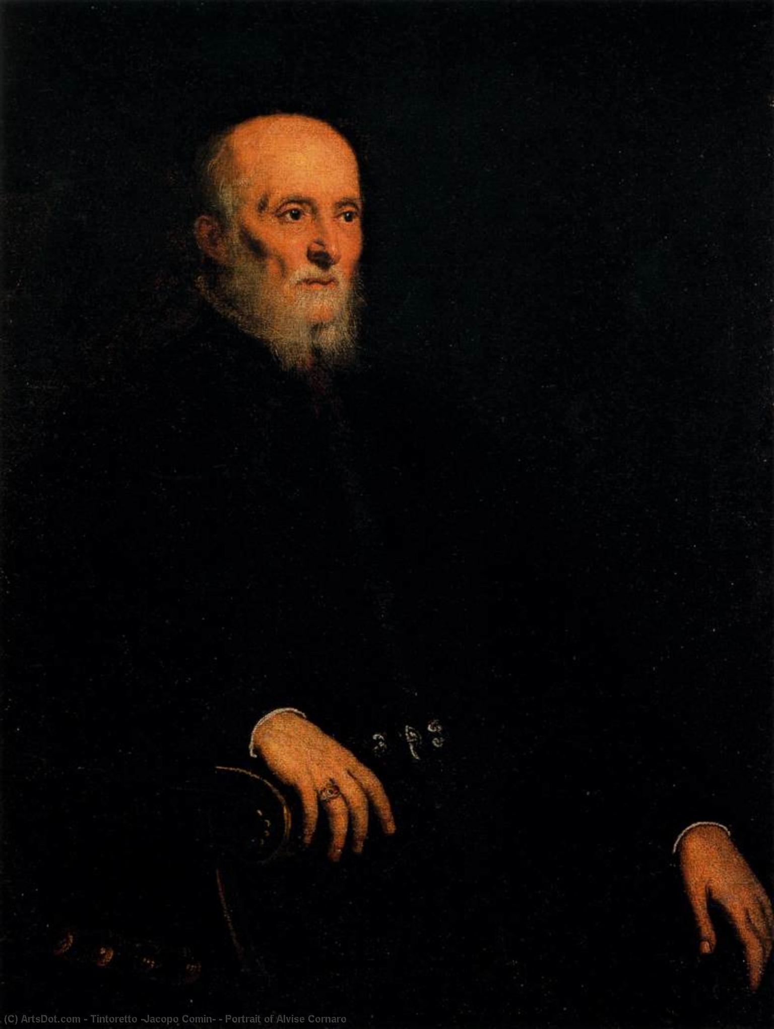 Portrait Of Alvise Cornaro — Jacopo Tintoretto