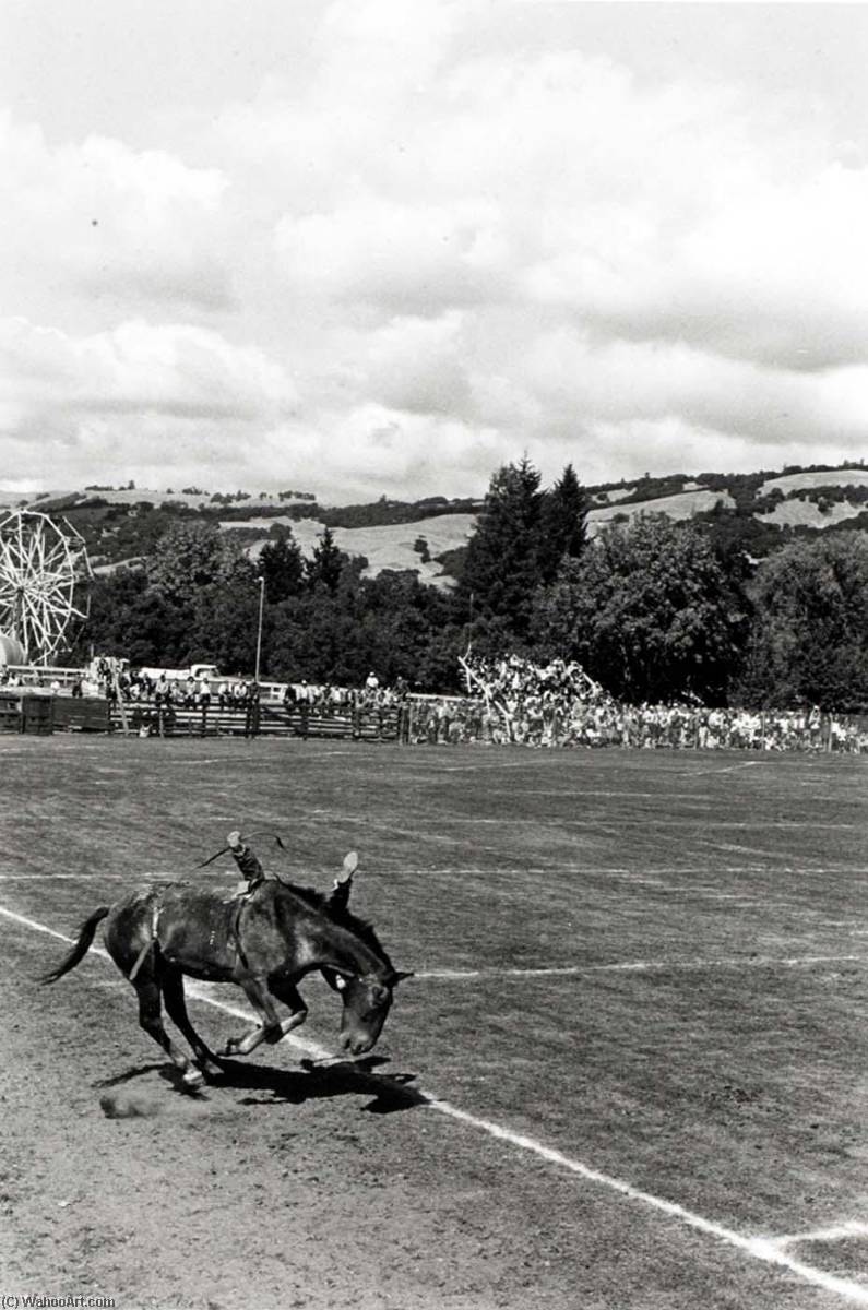 Boonville (bucking Horse) — Alvin Lieberman