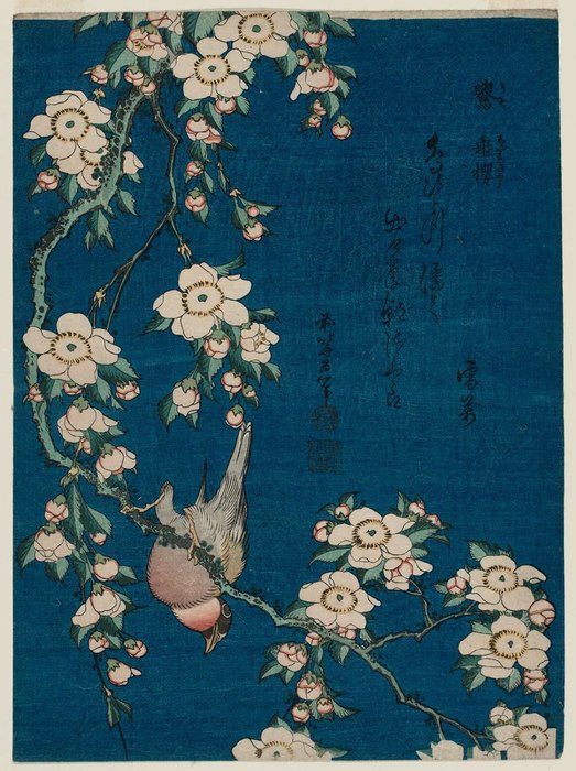 Bullfinch And Weeping Cherry — Katsushika Hokusai