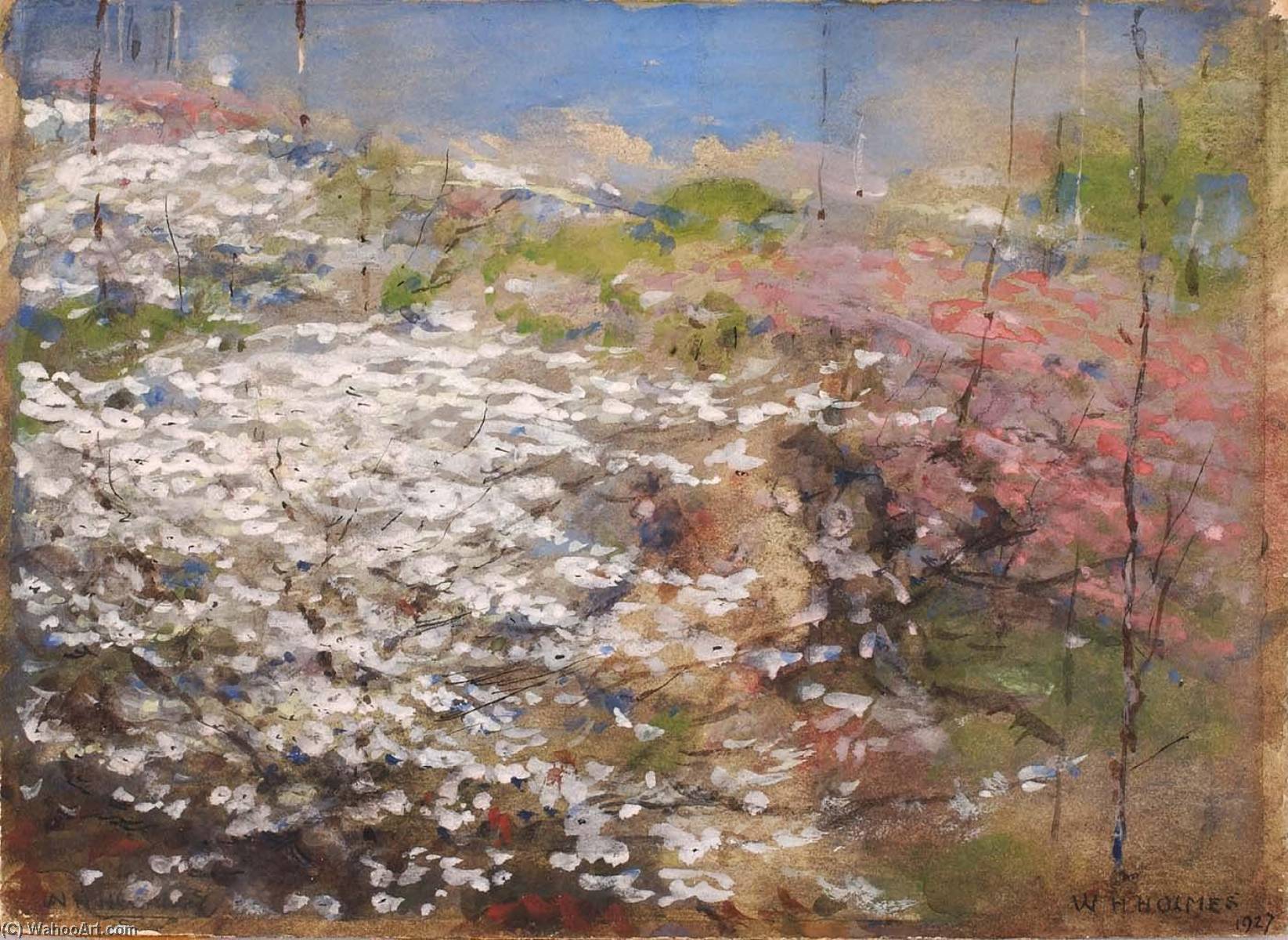 Field Of Blossoms — William Henry Holmes