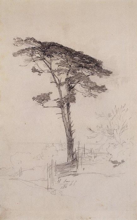 Pine — Aleksey Savrasov