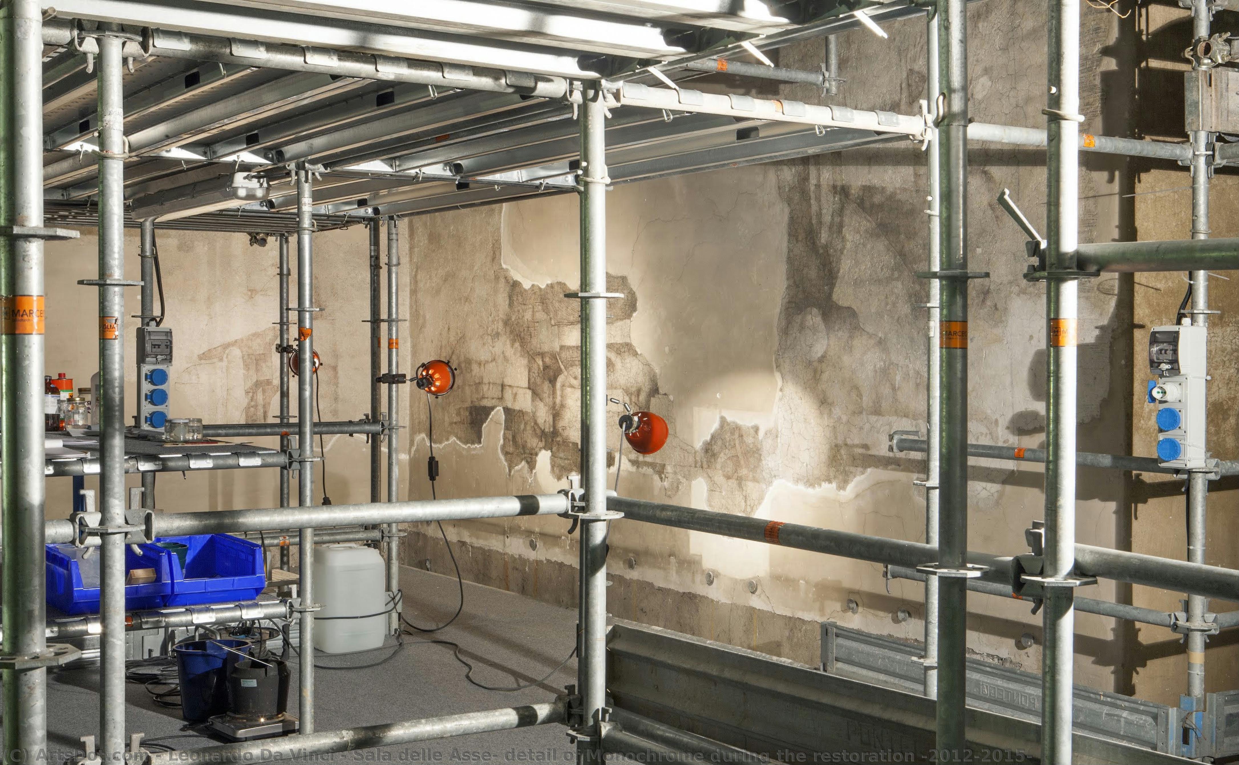 Sala Delle Asse, Detail Of Monochrome During The Restoration (2012-2015) — Leonardo Da Vinci