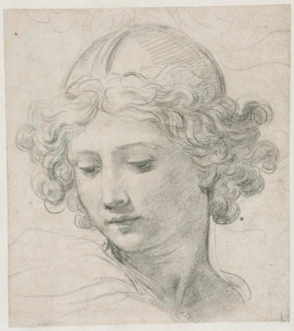 Study For The Head Of St. Michael — Pietro Da Cortona