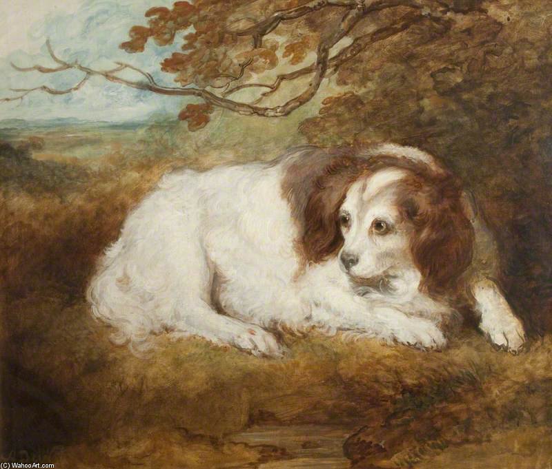The Dog Dido — Arthur William Devis