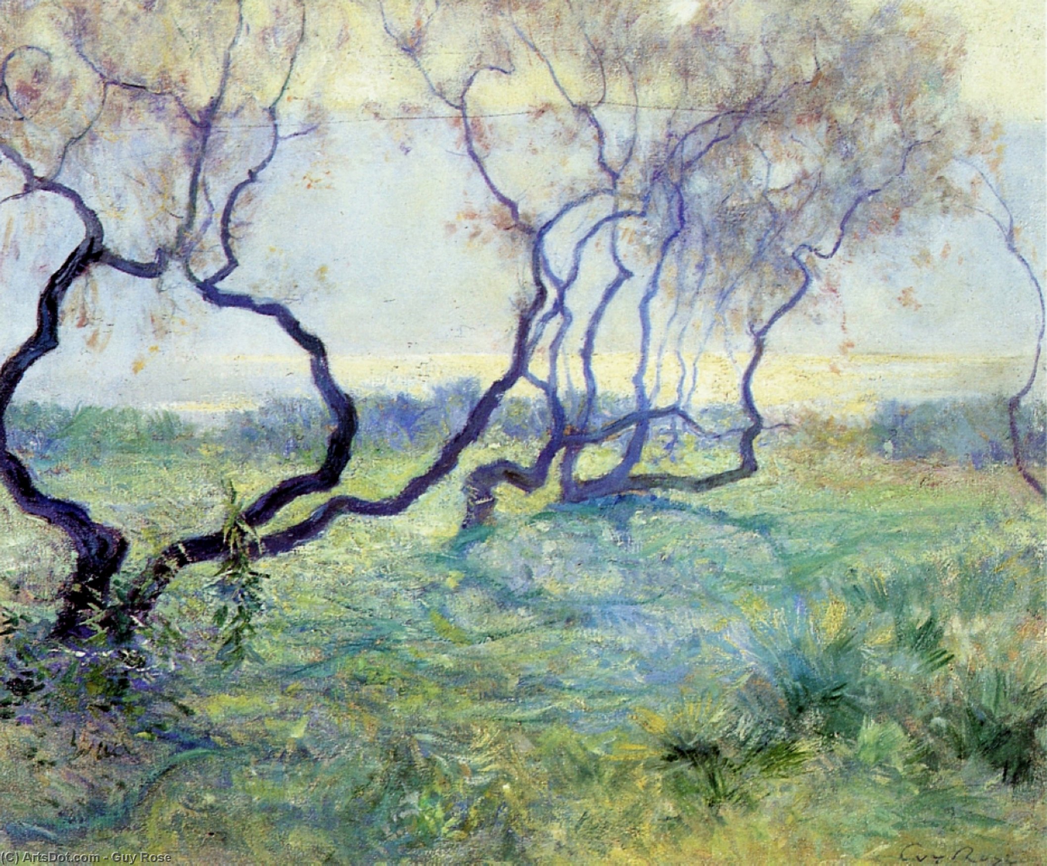 Tamarisk Trees In Early Sunlight — Guy Rose