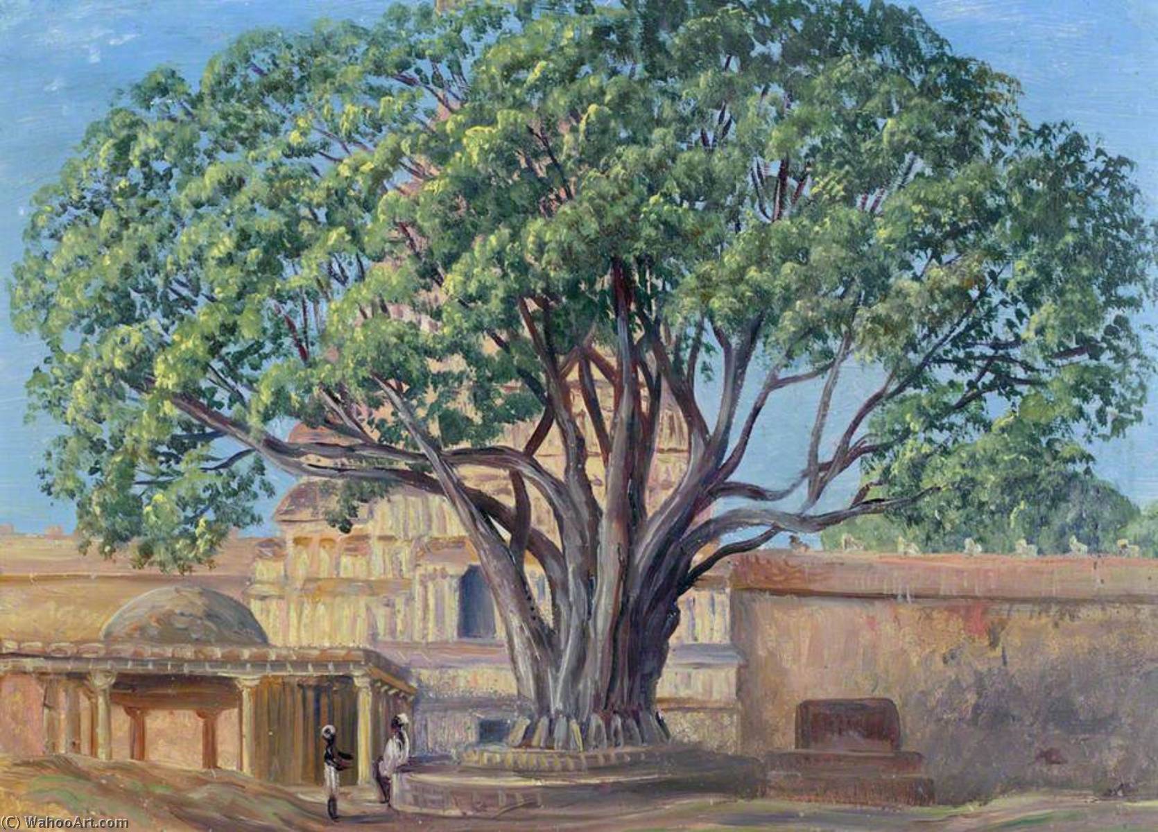 Peepul Tree, Srirangam, Tamil Nadu, India — Marianne North