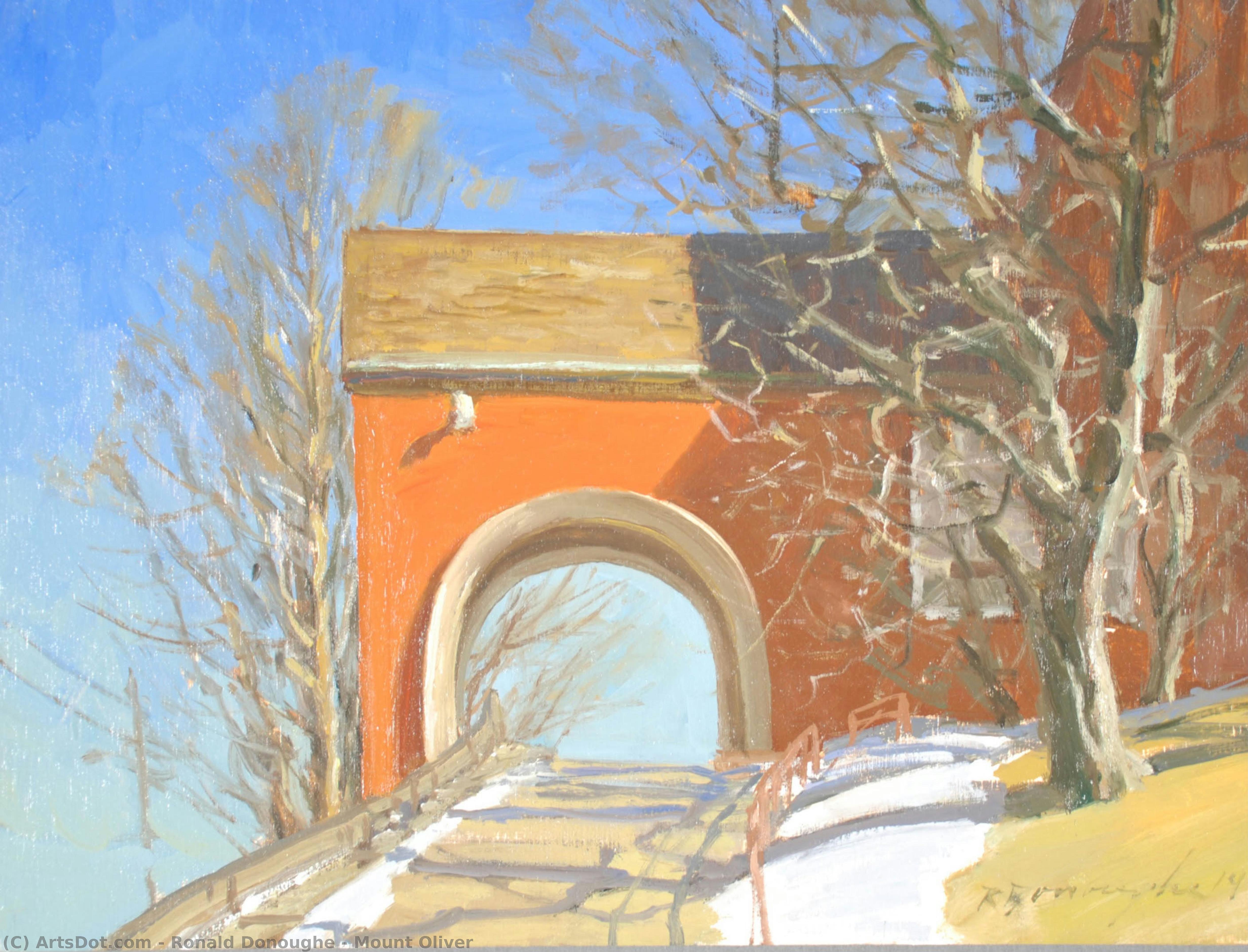Mount Oliver — Ronald Donoughe