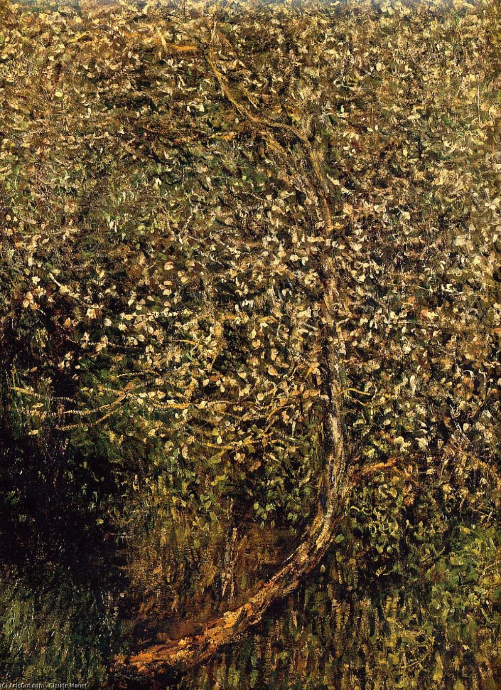 Apple Trees In Blossom By The Water — Claude Monet