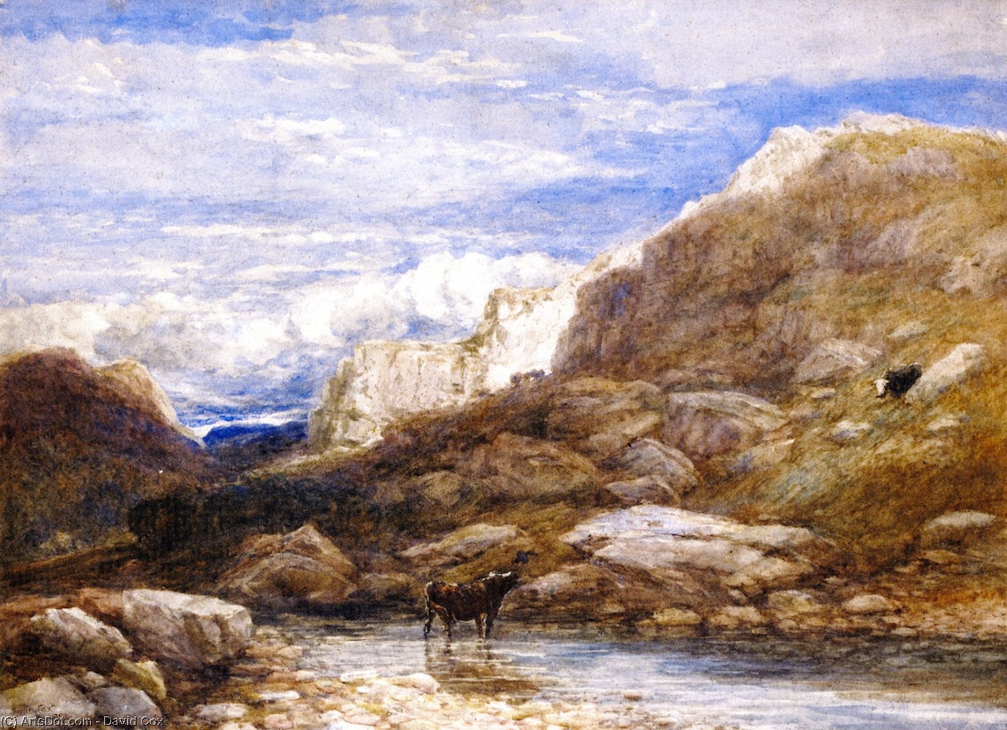 The Challange — David Cox
