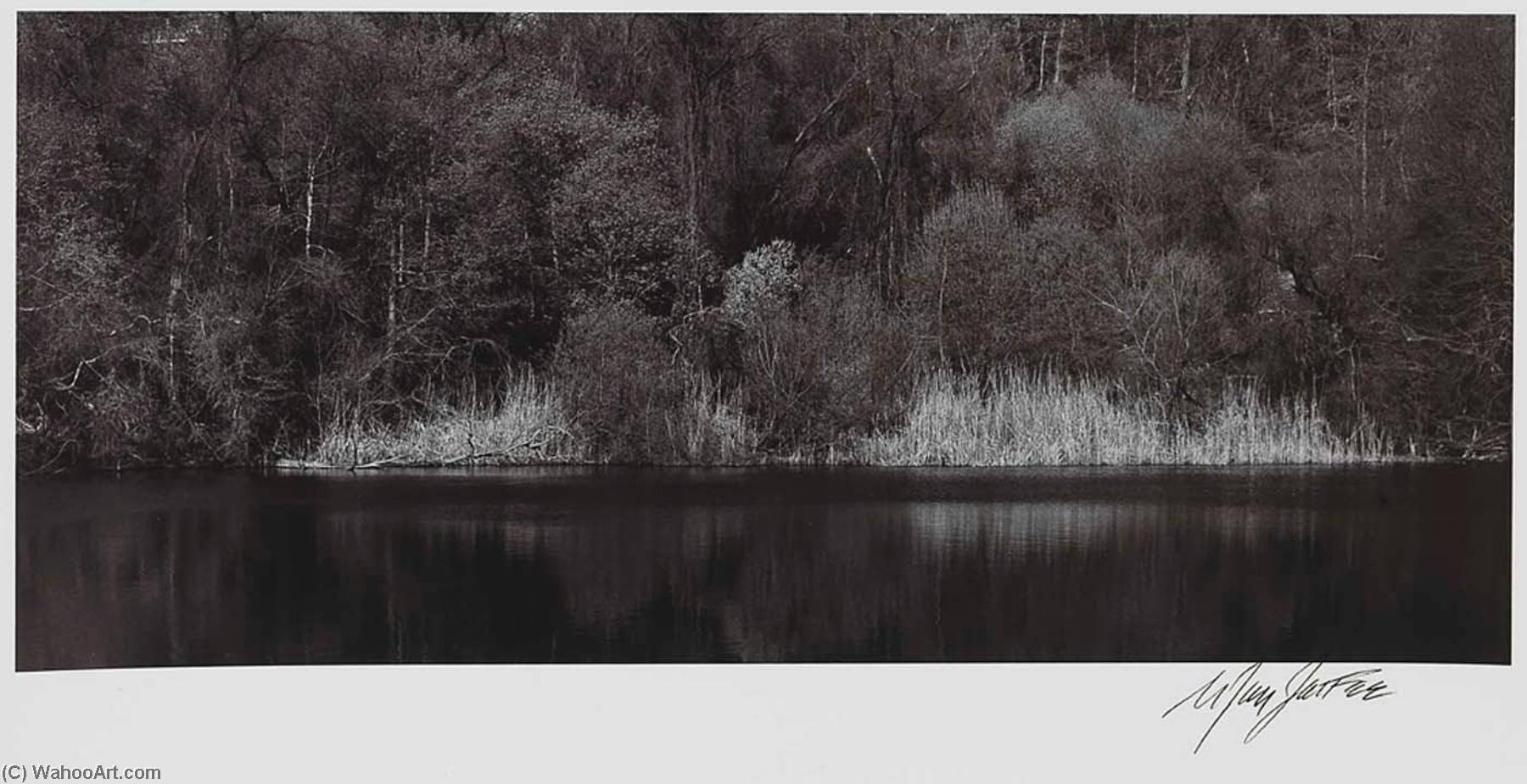 Spring 2 — Nathan Jay Jaffee