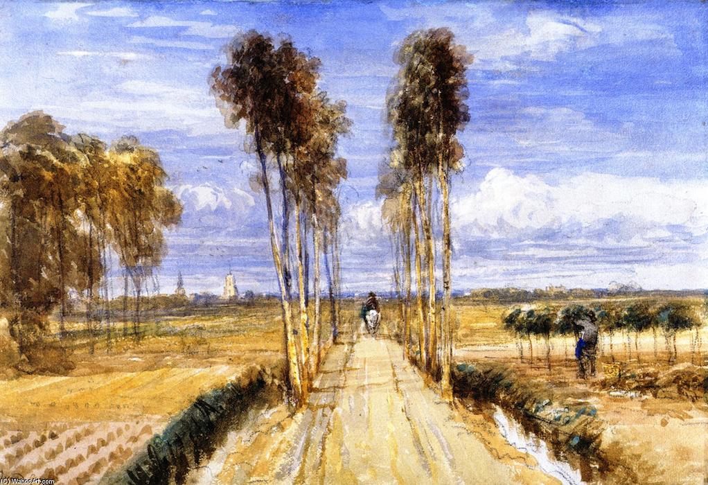 The Poplar Avenue, After Hobbema — David Cox