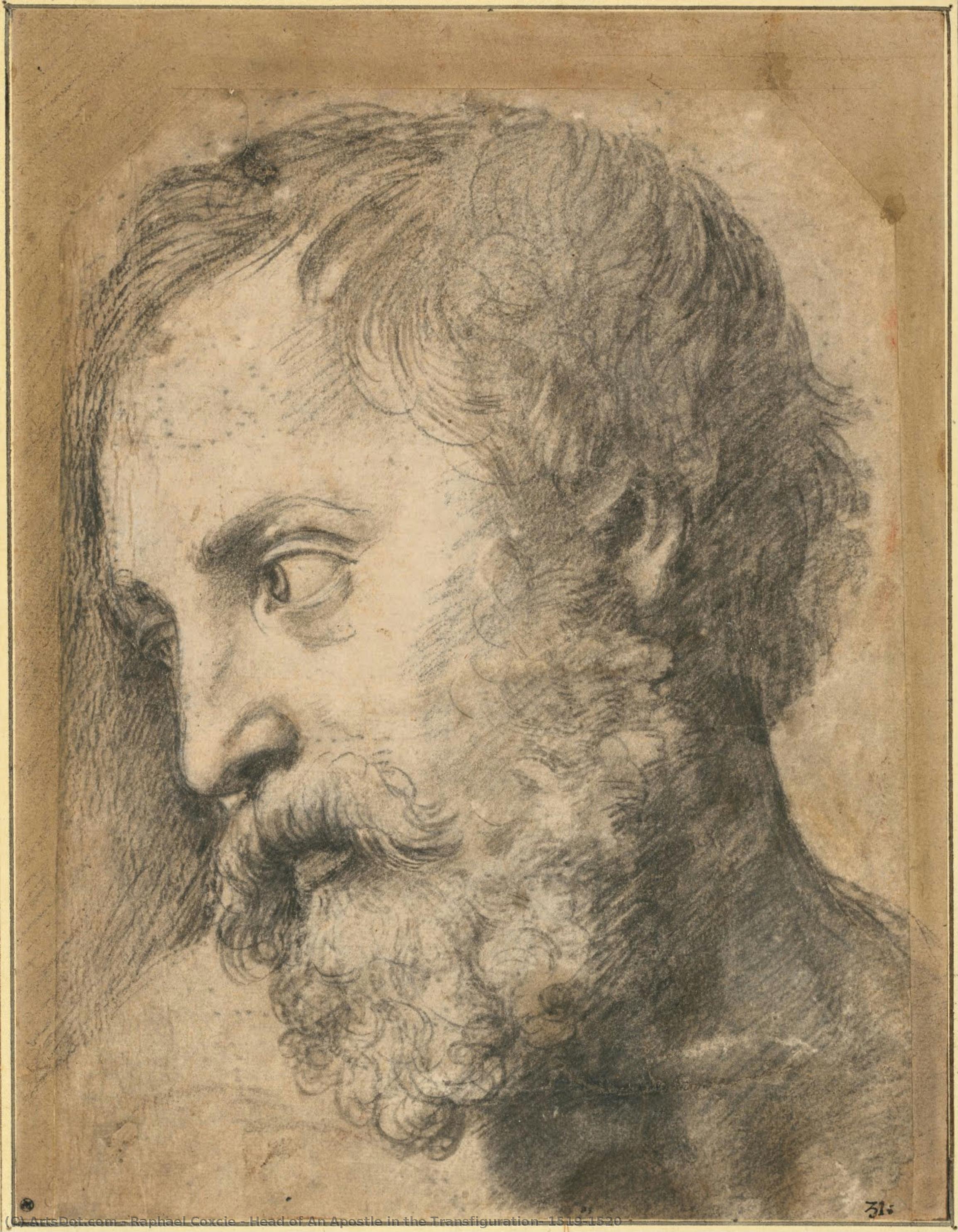 Head Of An Apostle In The Transfiguration, 1519-1520 — Raphael Coxcie