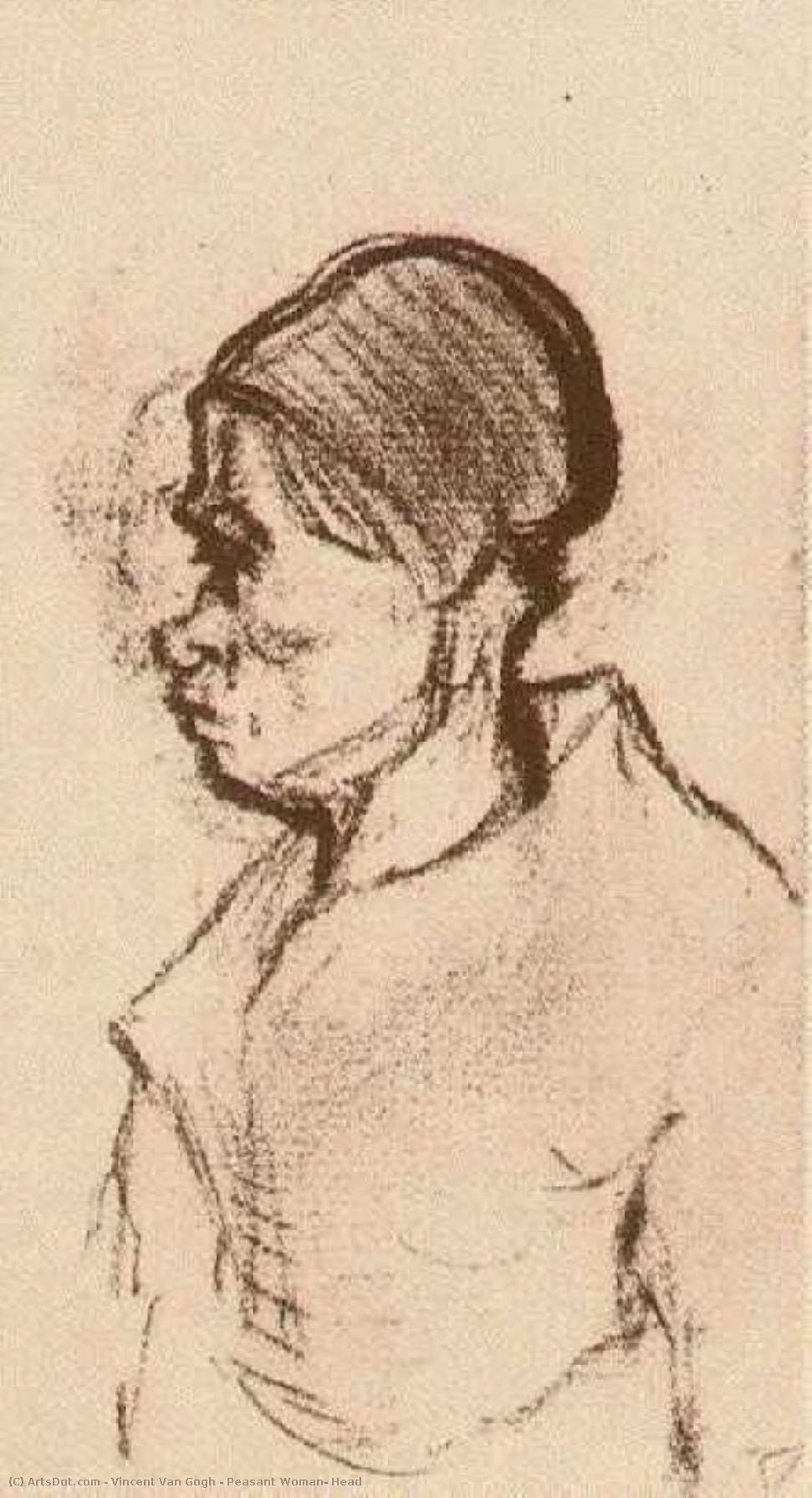 Peasant Woman, Head — Vincent Willem Van Gogh