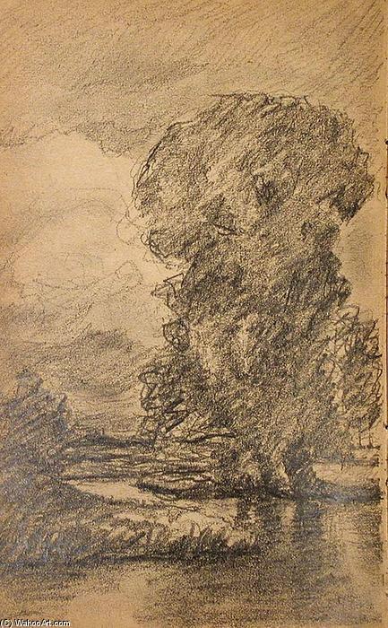 Tree By Stream — John Ottis Adams