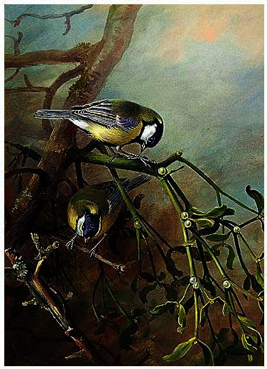 Blue Tits — Archibald Thorburn