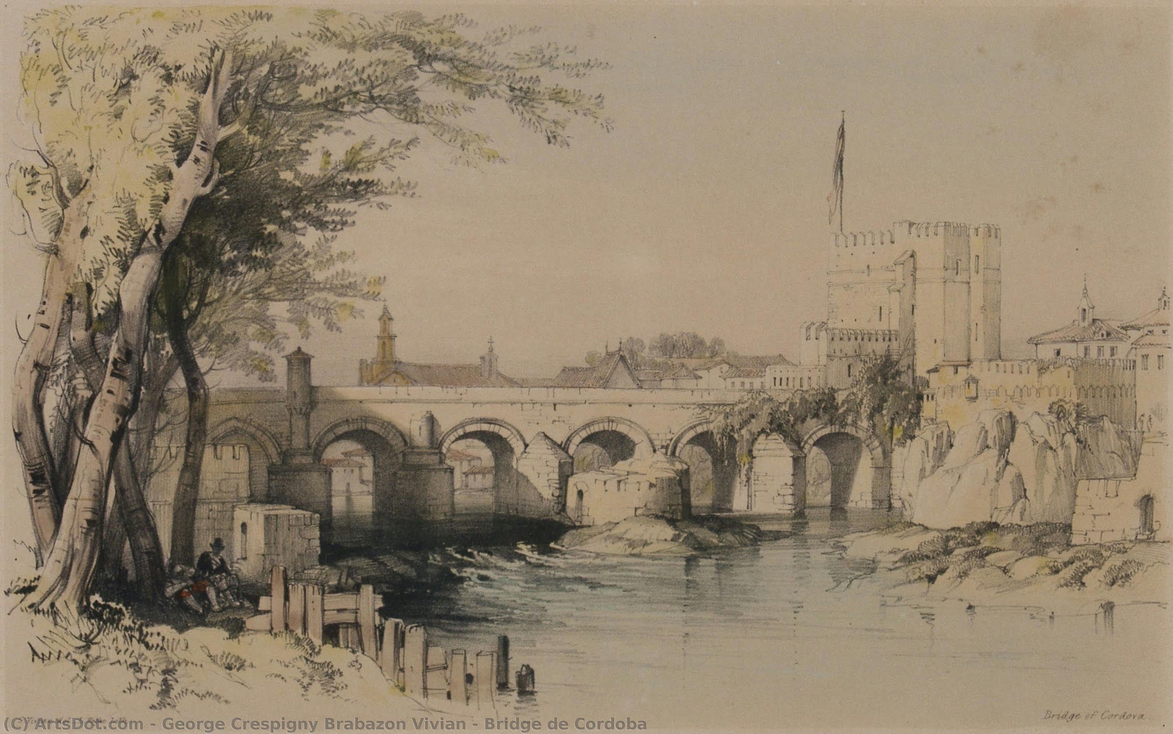 Bridge De Cordoba — George Crespigny Brabazon Vivian
