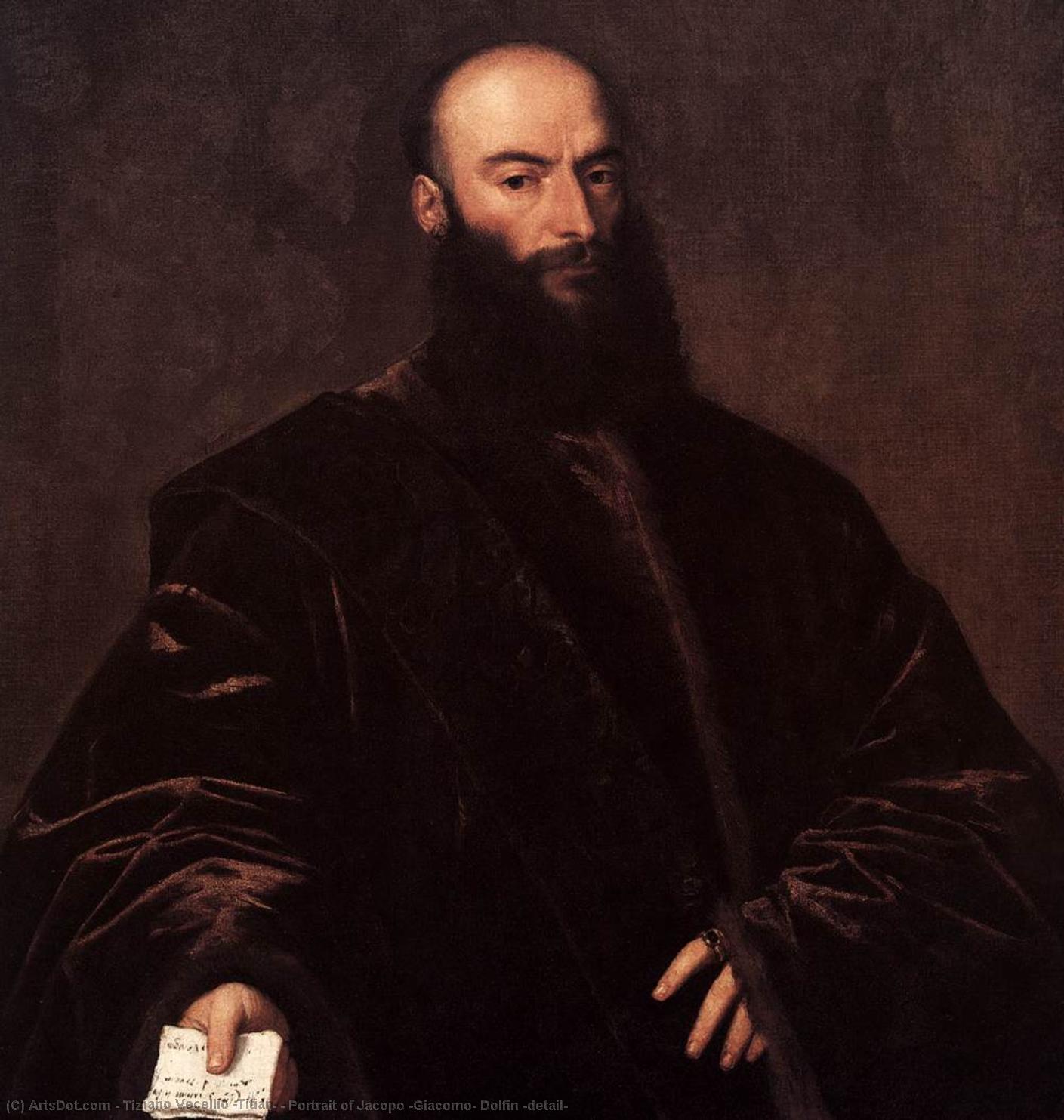Portrait Of Jacopo (giacomo) Dolfin (detail) — Titian