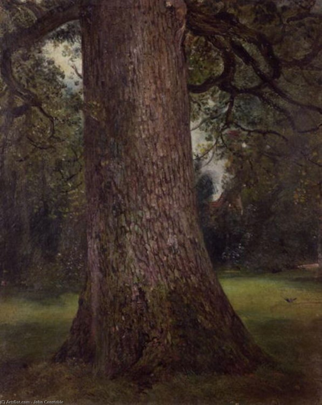 Study Of The Trunk Of An Elm Tree — John Constable