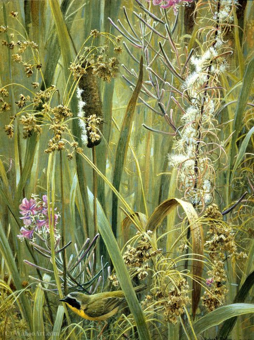 Untitled (421) — Robert Bateman