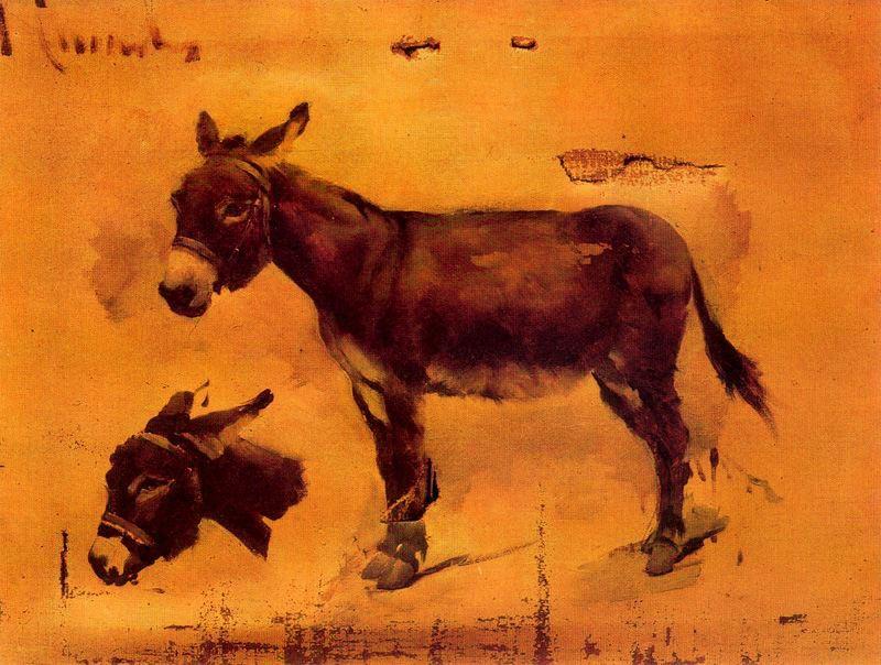 Studies Of Donkeys — Josep Cusachs I