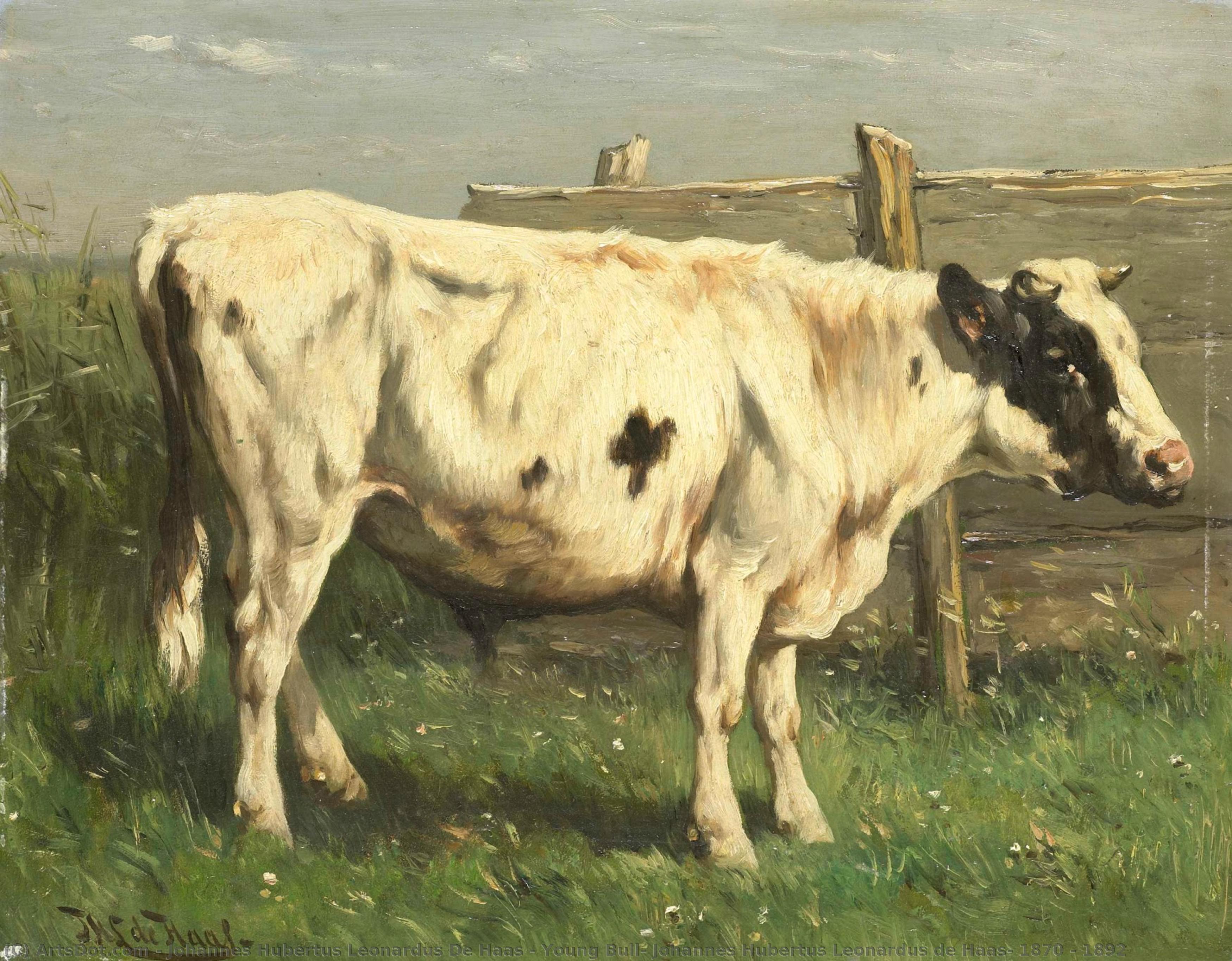 Young Bull, Johannes Hubertus Leonardus De Haas, 1870 - 1892 — Johannes Hubertus Leonardus De Haas