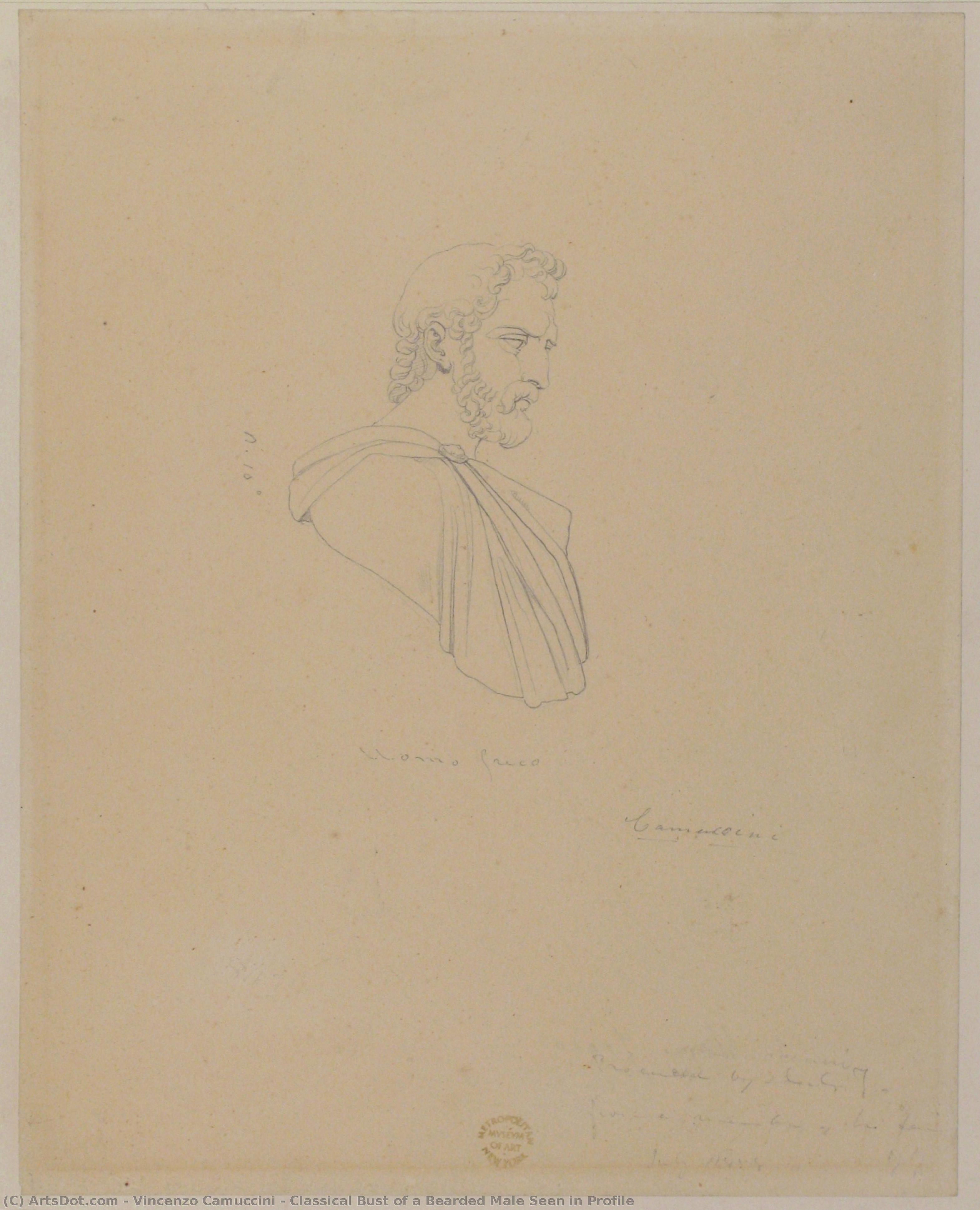 Classical Bust Of A Bearded Male Seen In Profile — Vincenzo Camuccini