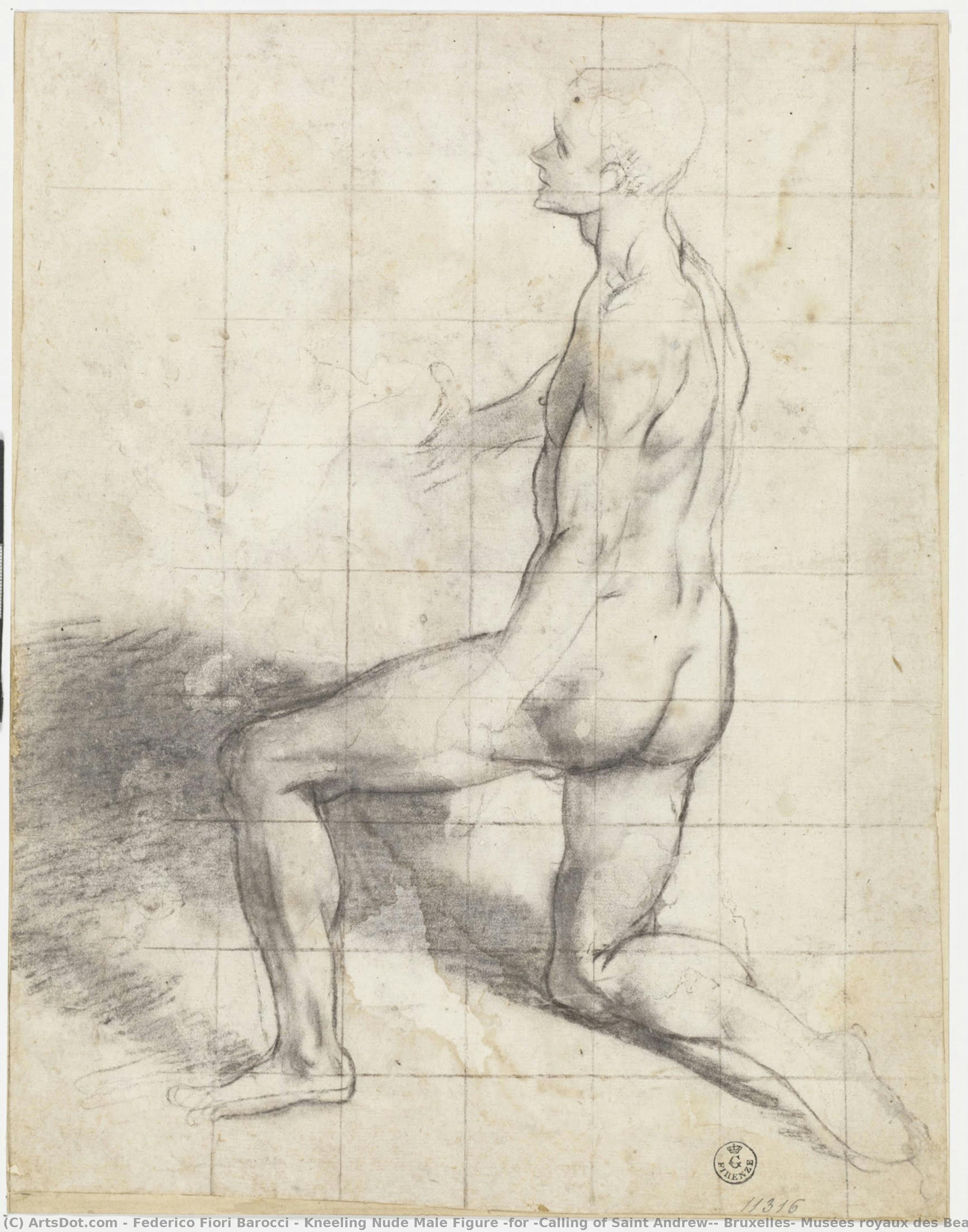 Figura Masculina Desnuda Arrodillada (para “la Llamada De San Andrés”, Bruselas, Musées Royaux Des Beaux-arts De Belgique) — Federico Fiori Barocci