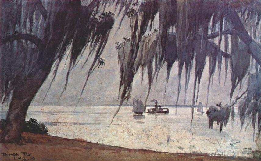 Spanish Moss At Tampa — Winslow Homer