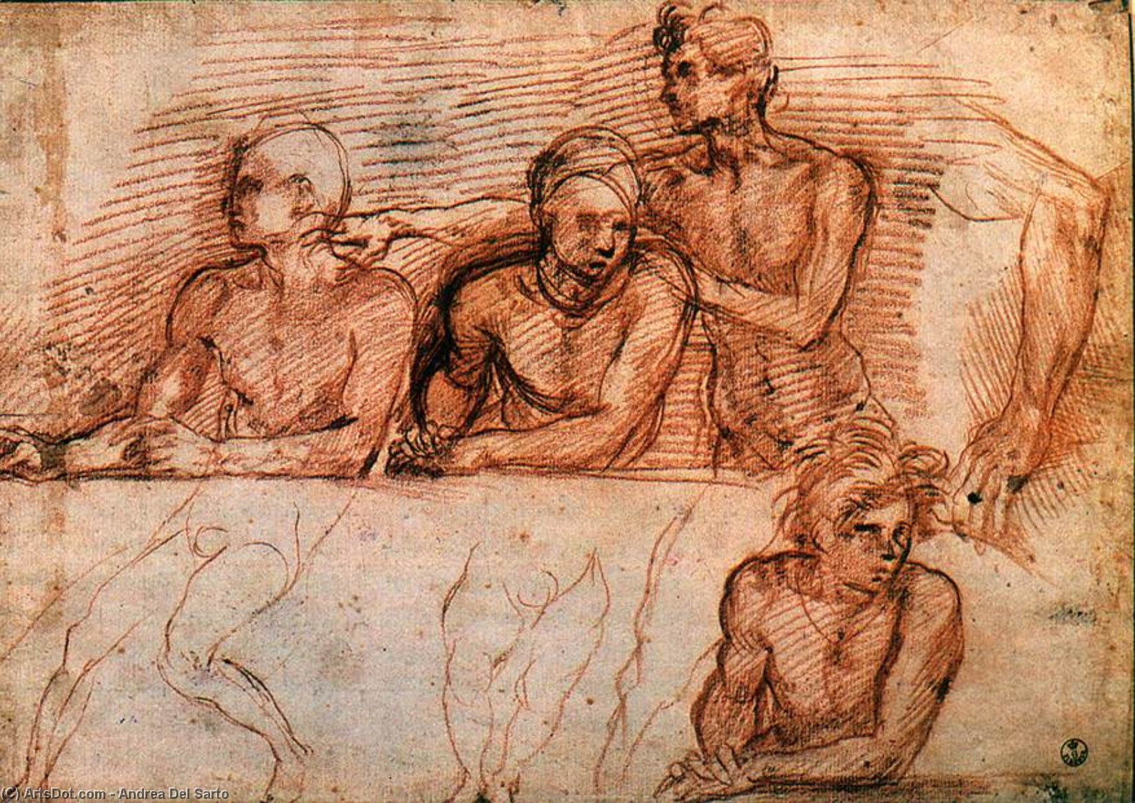 Last Supper (study) — Andrea Del Sarto