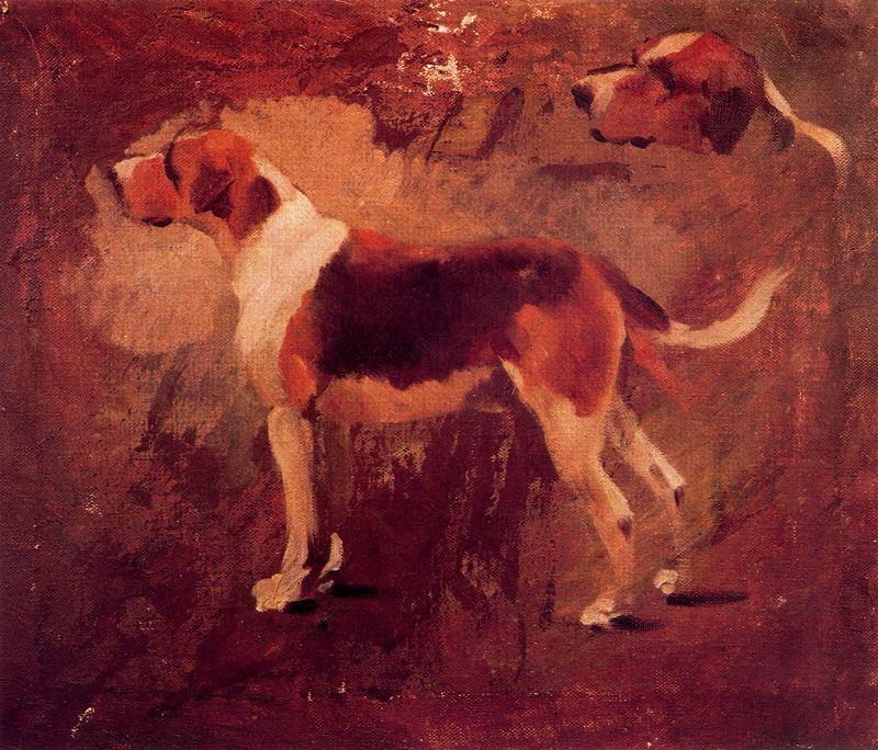 Studies Of Dogs — Josep Cusachs I