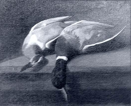 Still Life With Two Ducks, (painting) — Frank Harold Hayward