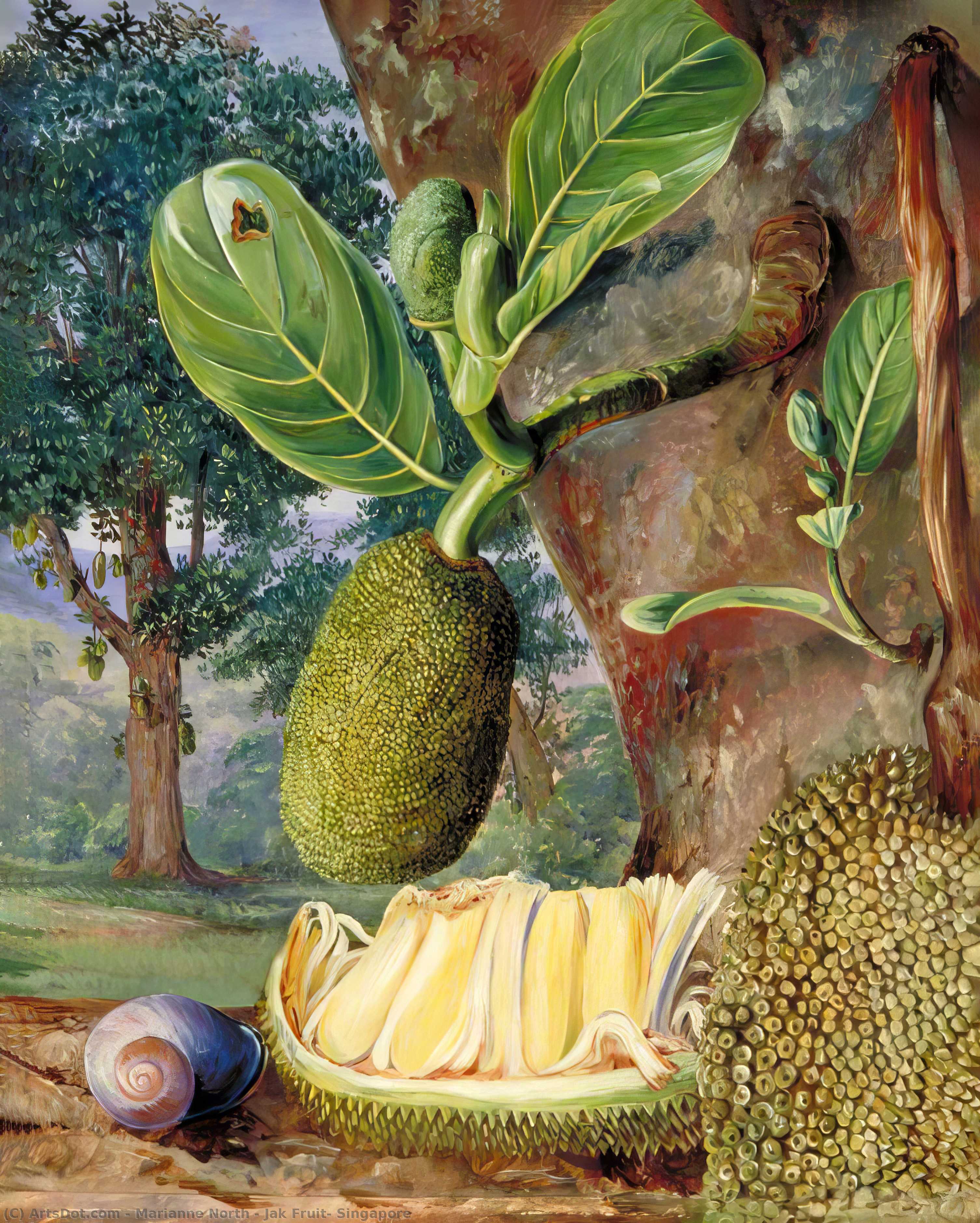 Jak Fruit, Singapore — Marianne North