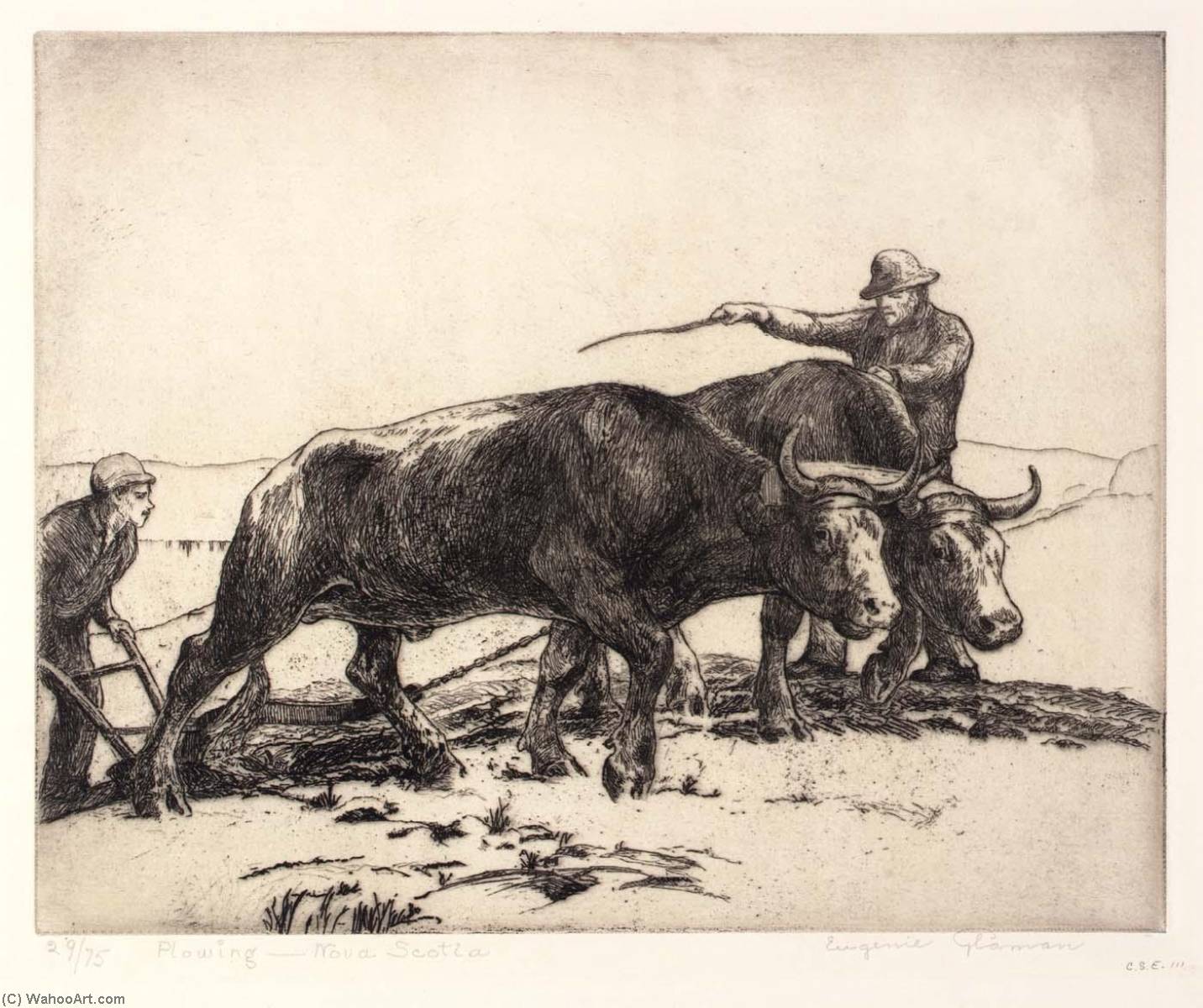 Plowing Nova Scotia — Eugenie Fish Glaman