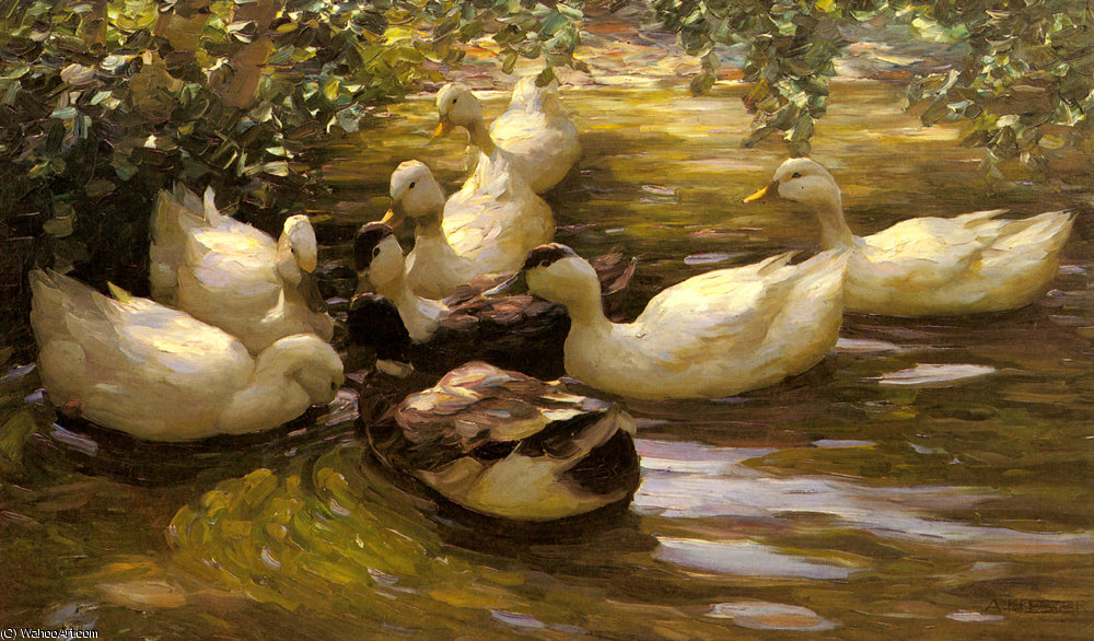 Enten In Wasser Unter Birken — Alexander Max Koeste