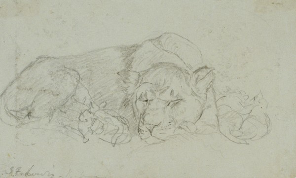 A Lioness At The Old Exeter Change — John Frederick Lewis