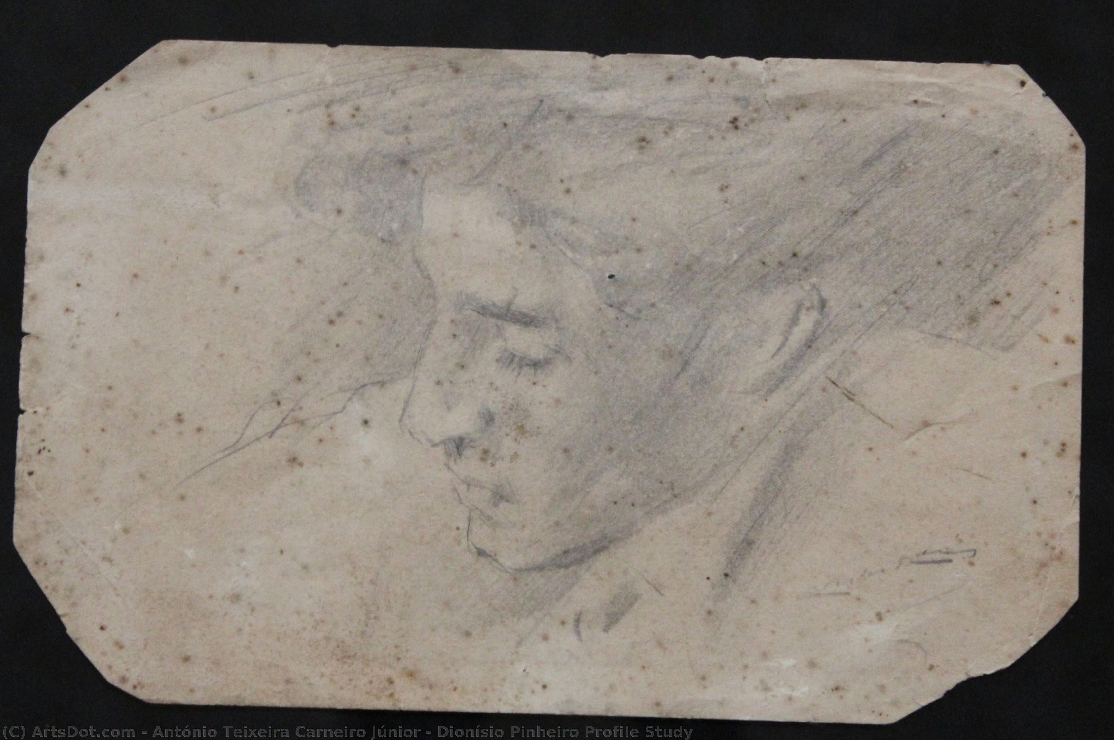 Dionísio Pinheiro Profile Study — António Teixeira Carneiro Júnior