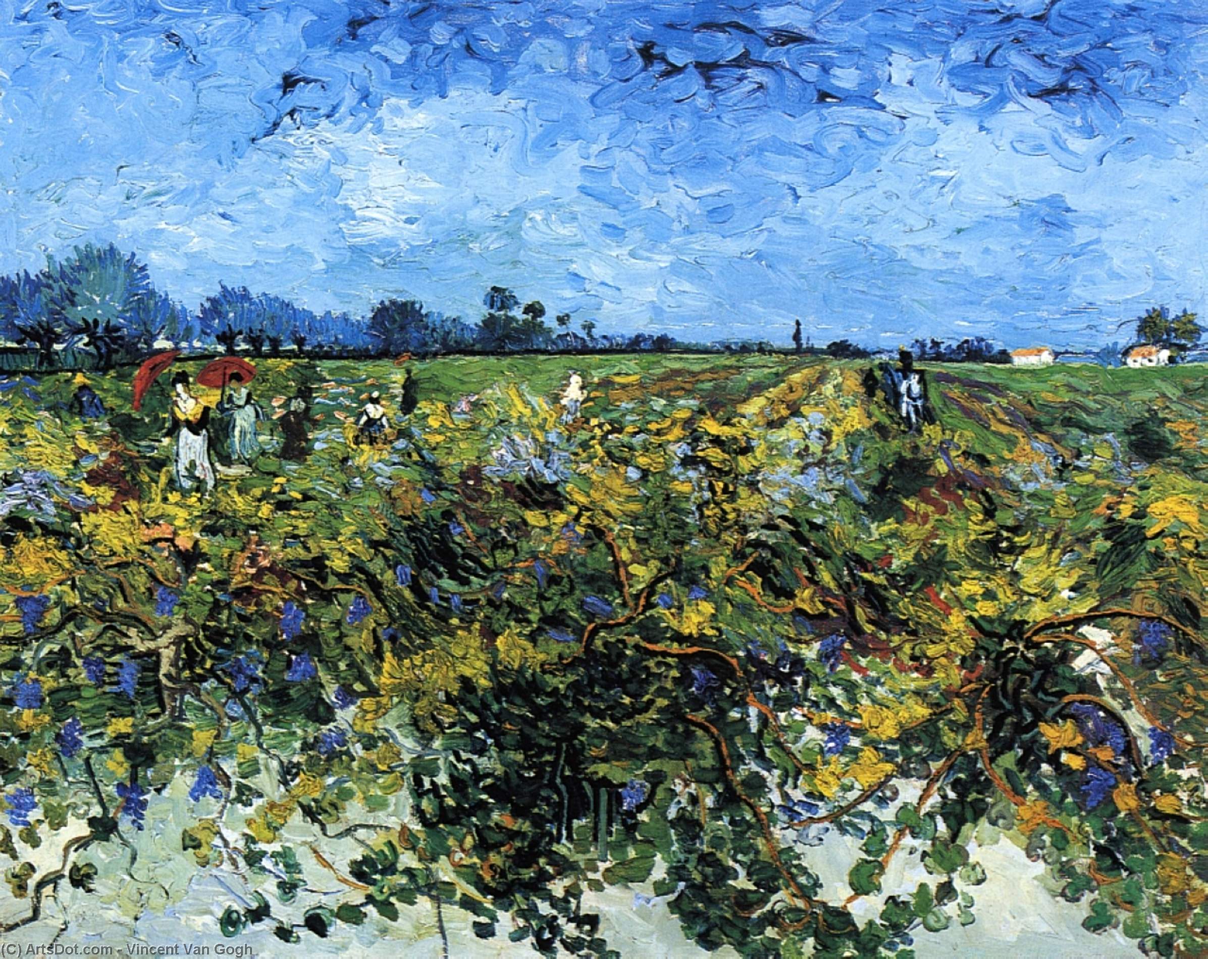 The Green Vinyard — Vincent Willem Van Gogh