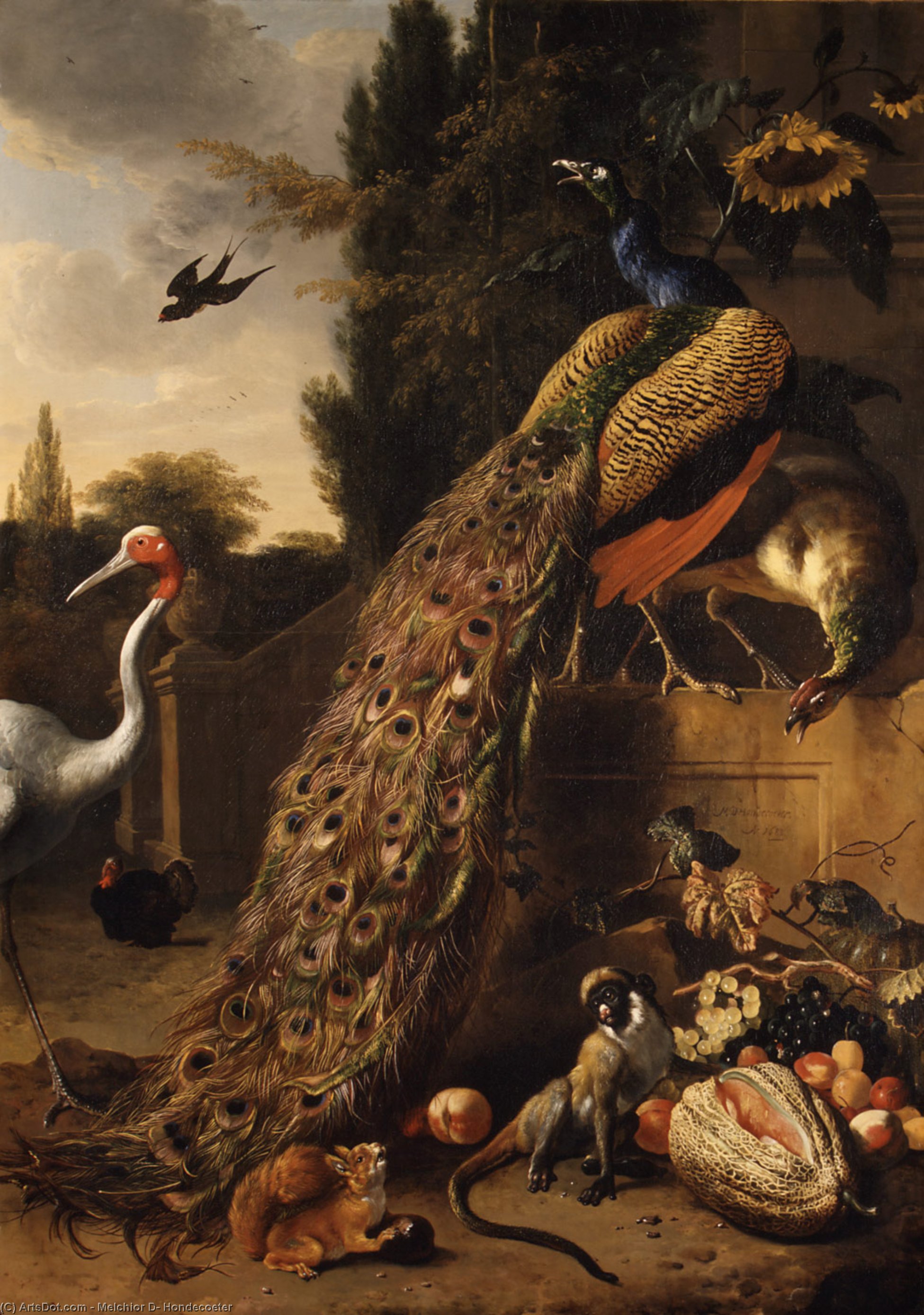 Peacocks — Melchior De Hondecoetter