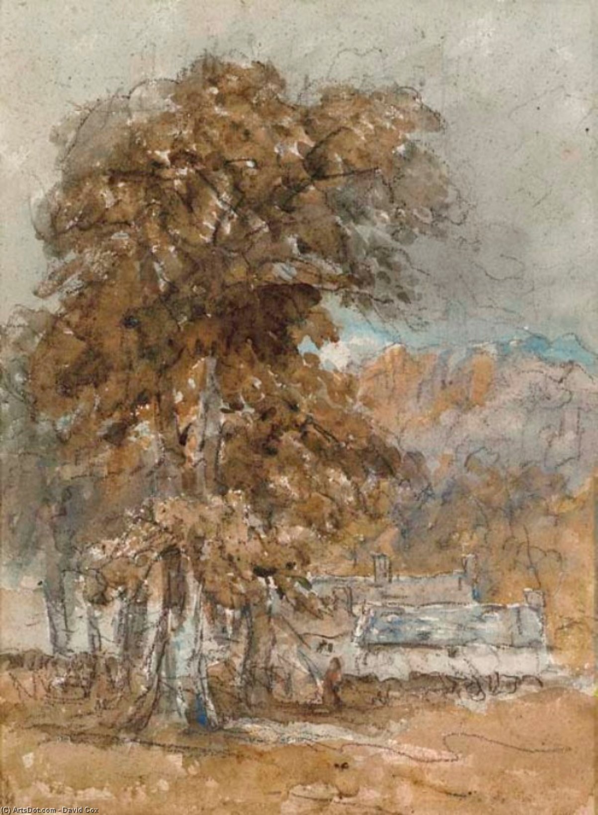 Cottages In Woodland, Possibly Near Bettws-y-coed, North Wales — David Cox