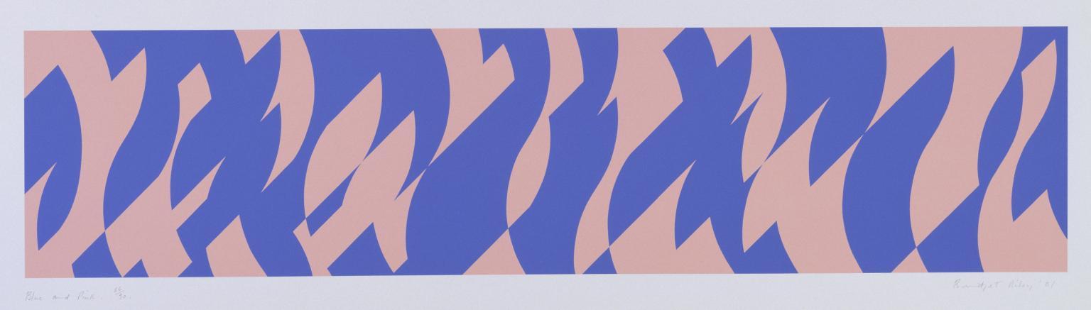 Blue And Pink — Bridget Riley